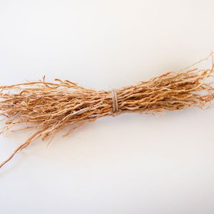 Vetiver Roots