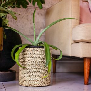 Vetiver Basket Small